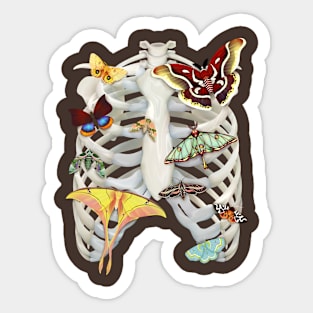 The Moth Cage Sticker